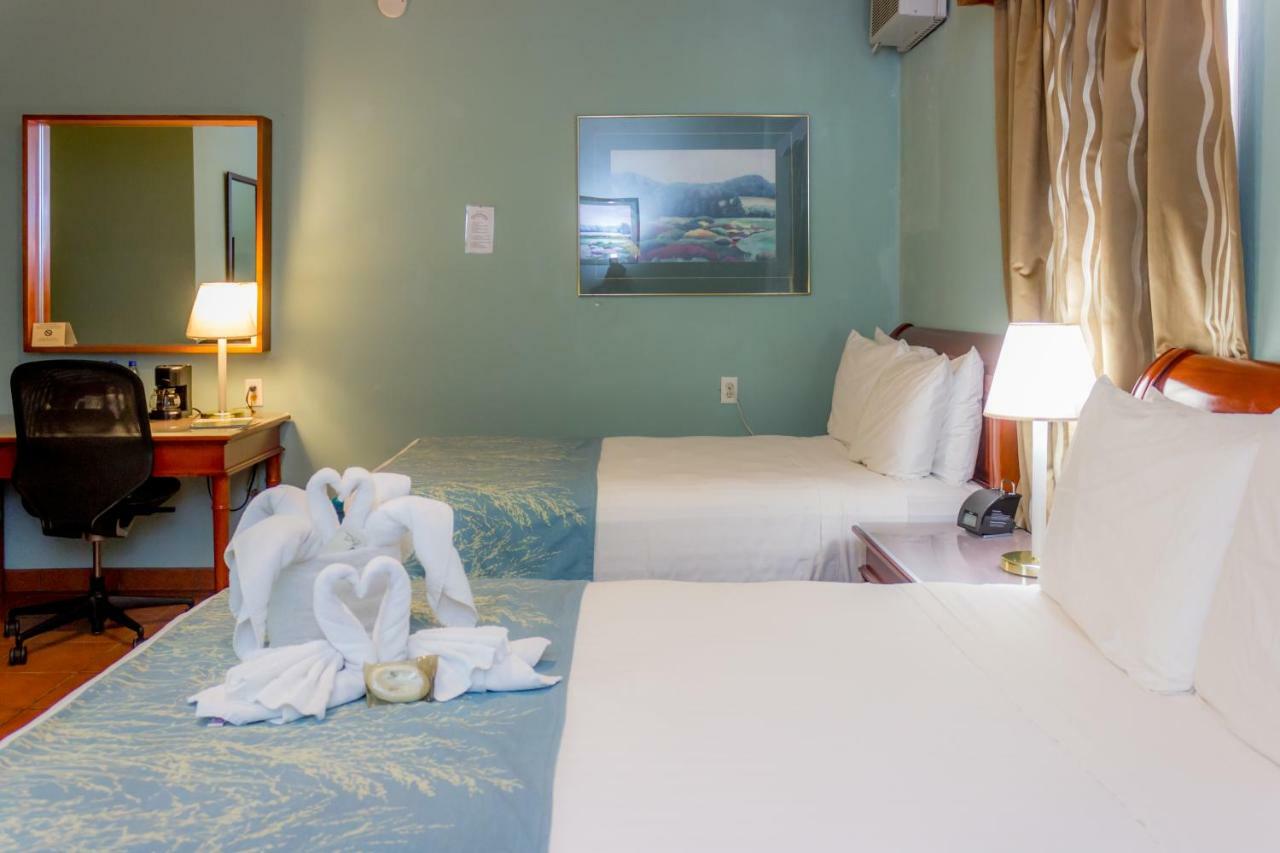 Rolson Hotel San Ignacio Kültér fotó