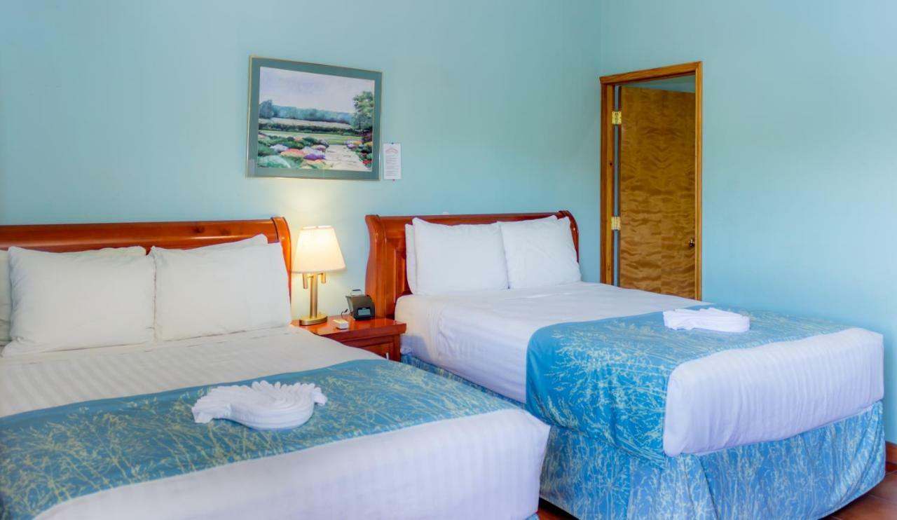 Rolson Hotel San Ignacio Kültér fotó